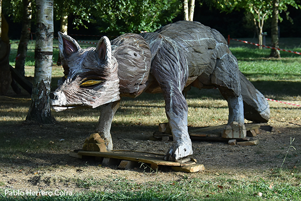 A Fraga Máxica (San Sadurniño)